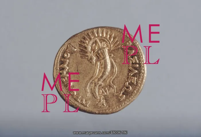 : Coin of Ptolemy III : Coin of Ptolemy III