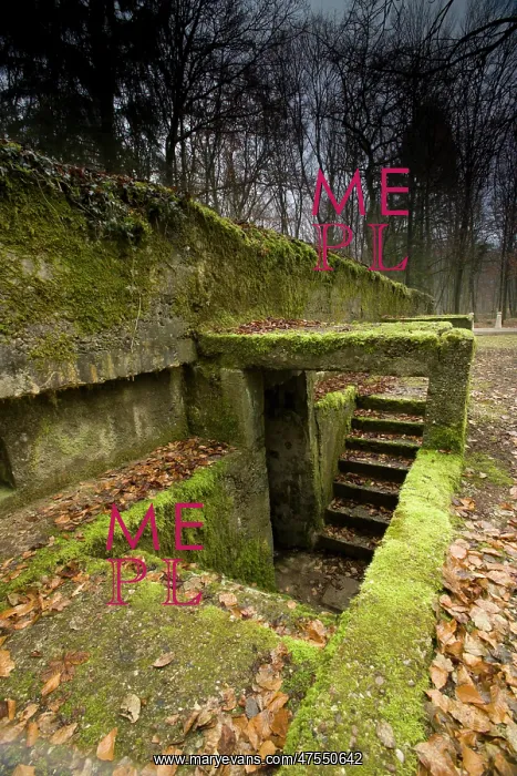 : Col Driant's command post - Bois des Caures - Verdun : Col Driant's command post - Bois des Caures - Verdun