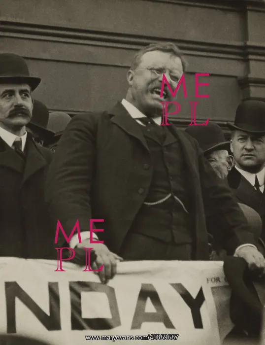 : Col. Theodore Roosevelt, testifying in court at : Col. Theodore Roosevelt, testifying in court at