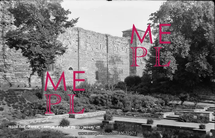 : Colchester Castle and Lily Pond : Colchester Castle and Lily Pond