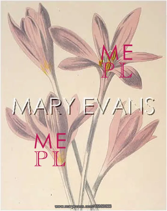  : COLCHICUM AUTUMNALE