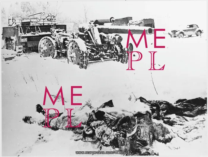 : COLD BEATS GERMANS : COLD BEATS GERMANS