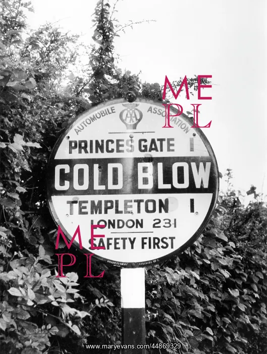 : COLD BLOW SIGNPOST : COLD BLOW SIGNPOST