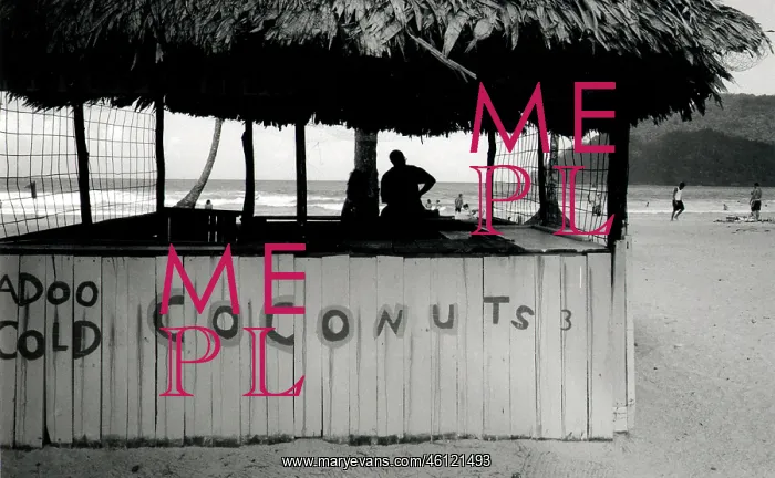 : Cold Coconuts stall, Trinidad, West Indies : Cold Coconuts stall, Trinidad, West Indies