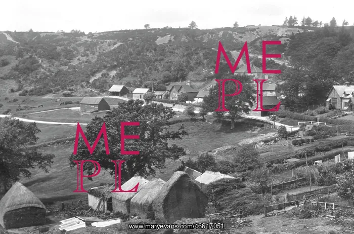  : Coldharbour, 1906