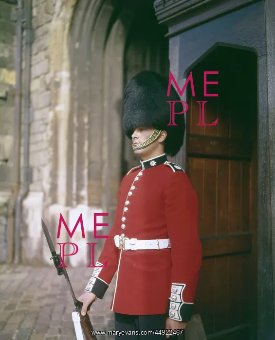 : Coldstream Guard on sentry duty : Coldstream Guard on sentry duty