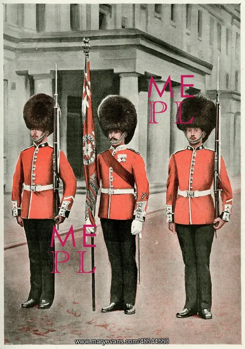 : Coldstream guards : Coldstream guards