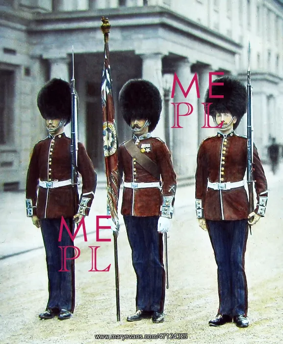  : Coldstream Guards Victorian period