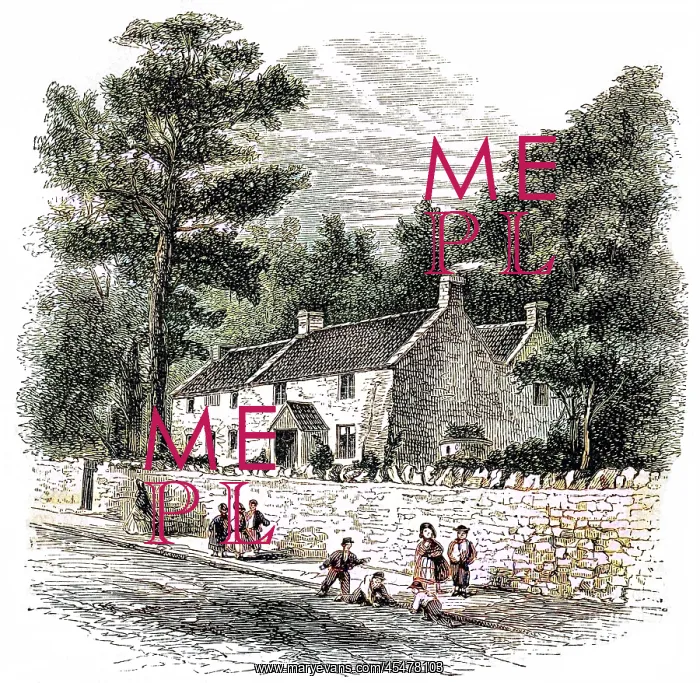 : COLERIDGE CLEVEDON COTT : COLERIDGE CLEVEDON COTT