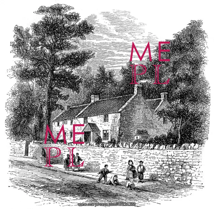 : COLERIDGE CLEVEDON COTT : COLERIDGE CLEVEDON COTT