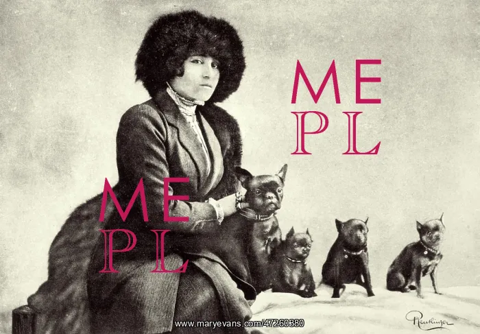  : COLETTE. SIDONIE-GABRIELLE WILLY (1873 - 1954), French novelist with her dogs