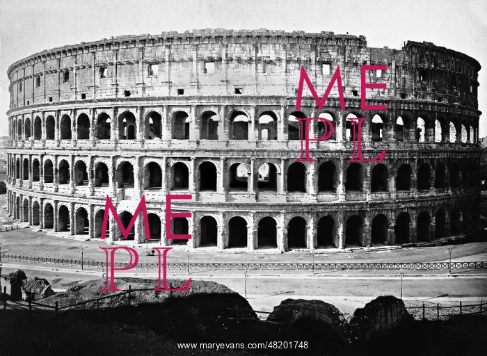 : Coliseum in Rome : Coliseum in Rome