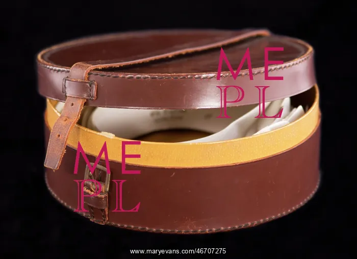 : Collar box, c1890-1920 : Collar box, c1890-1920