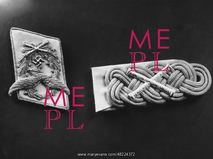 : Collar patch and shoulder mark of a Field Marshal : Collar patch and shoulder mark of a Field Marshal