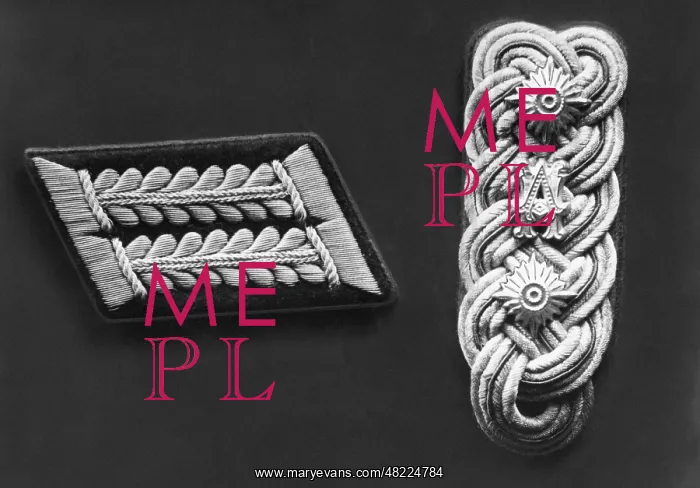 : Collar patch and shoulder mark of a military lawyer : Collar patch and shoulder mark of a military lawyer