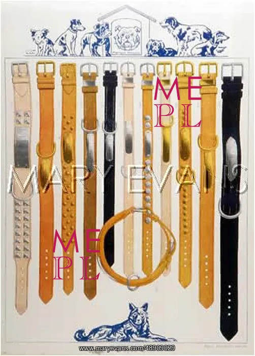 : COLLARS WITH NAMEPLATES : COLLARS WITH NAMEPLATES
