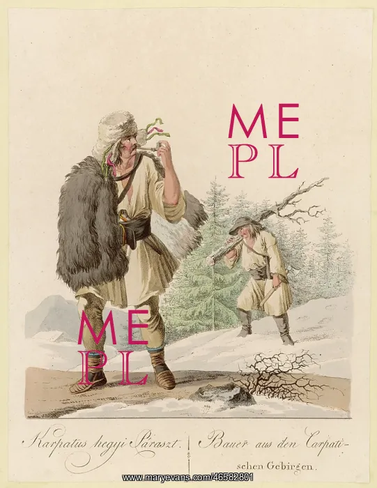  : COLLECTING FIREWOOD