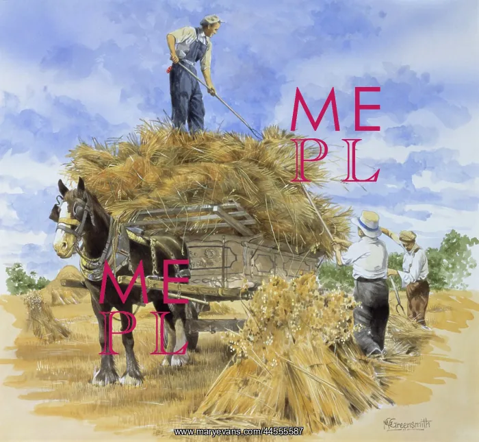 : Collecting hay bales : Collecting hay bales