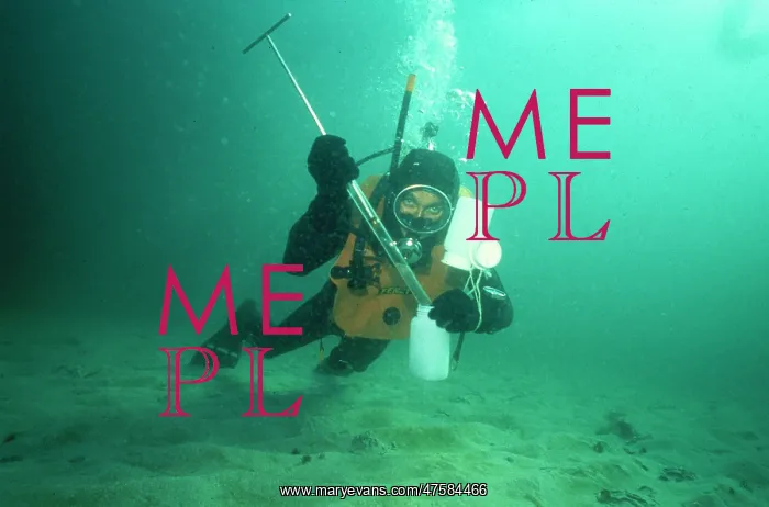 : Collecting nematode worms : Collecting nematode worms