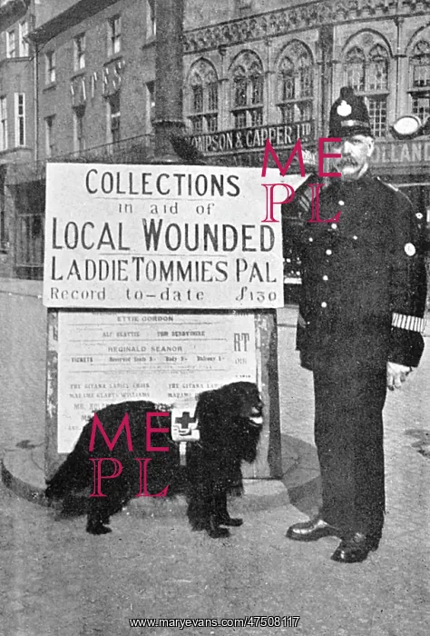 : COLLECTING FOR WOUNDED : COLLECTING FOR WOUNDED