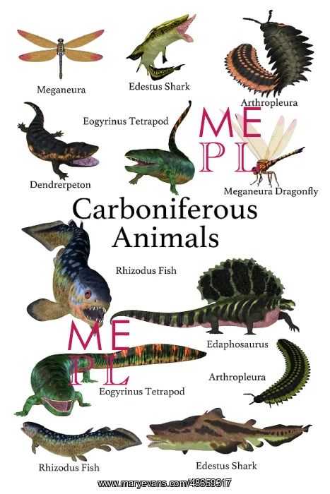 : A collection of animals, fish and insects that : A collection of animals, fish and insects that