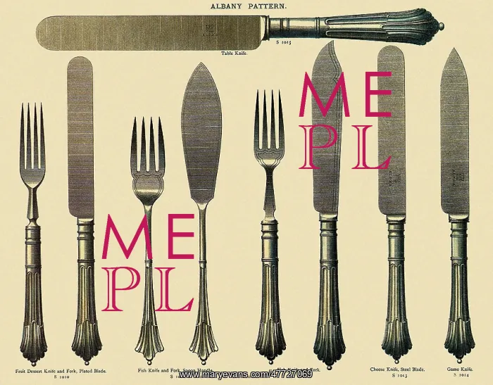: Collection of Forks and Knives : Collection of Forks and Knives