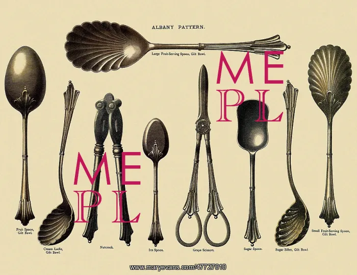 : Collection of Silverware : Collection of Silverware