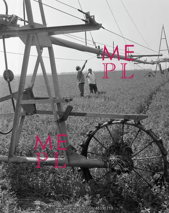 : Collective farm named after Lenin : Collective farm named after Lenin