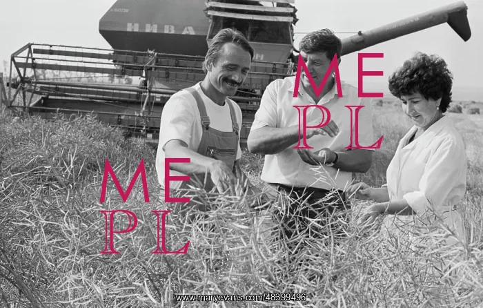 : Collective farm Rodina
