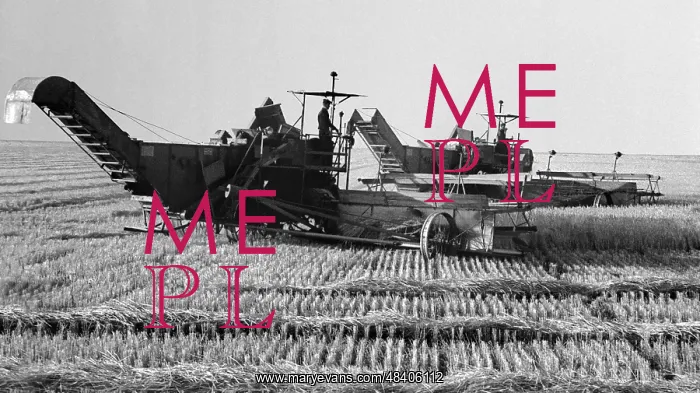 : Collective farm Tsvetochny : Collective farm Tsvetochny