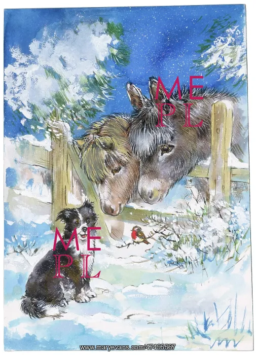 : Collie Dog with robin and donkeys in the snow : Collie Dog with robin and donkeys in the snow