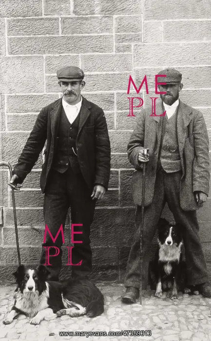  : COLLIES AND THEIR OWNERS