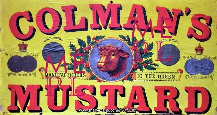 : Colman's Mustard : Colman's Mustard
