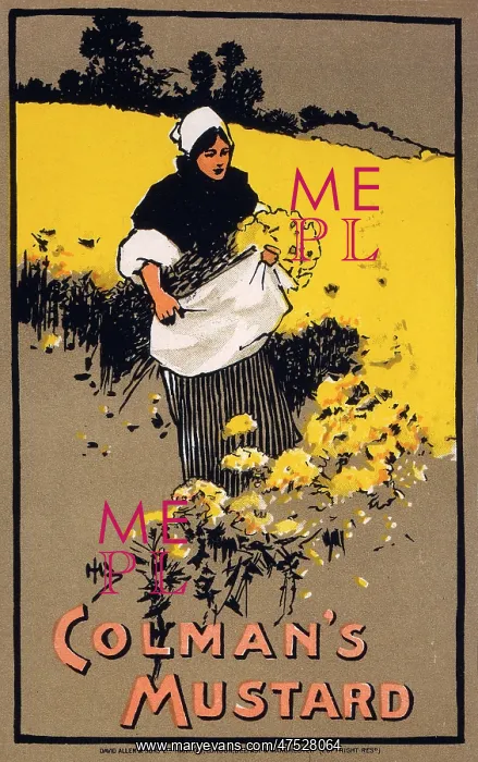 : Colman's mustard advert : Colman's mustard advert
