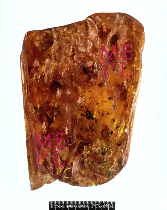 : Colombian copal : Colombian copal
