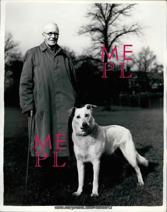 : Colonel Alexander Scotland with his dog : Colonel Alexander Scotland with his dog