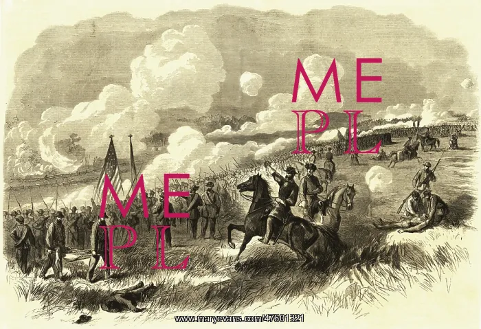 : Colonel Burnside's Brigade at Bull Run, 1861 : Colonel Burnside's Brigade at Bull Run, 1861
