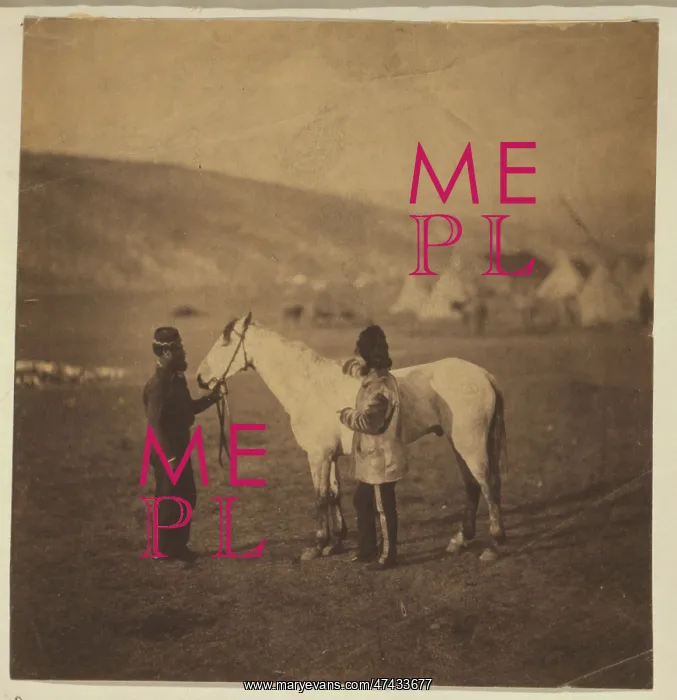 : Colonel Clarke, Scots Greys, with the horse wounded at Bala : Colonel Clarke, Scots Greys, with the horse wounded at Bala
