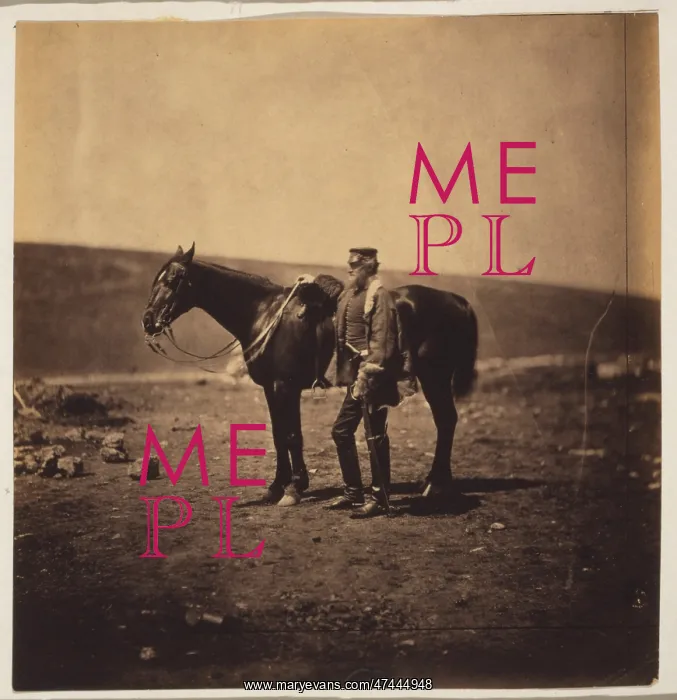 : Colonel Dickson, Royal Engineers : Colonel Dickson, Royal Engineers