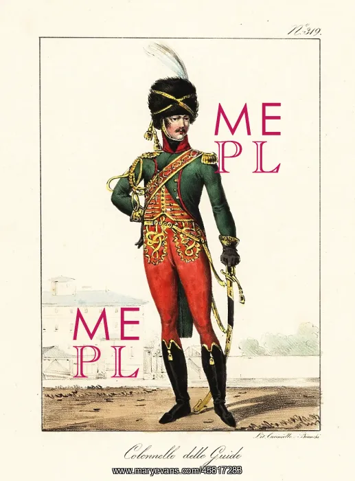 : Colonel in the Mounted Chasseurs of the Imperial Guard : Colonel in the Mounted Chasseurs of the Imperial Guard