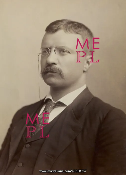 : Colonel Theodore Roosevelt, portrait by Benjamin : Colonel Theodore Roosevelt, portrait by Benjamin