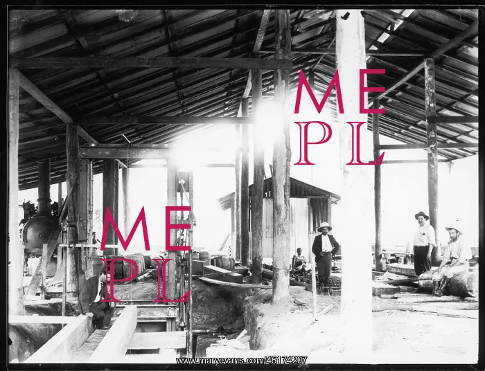 : COLONIAL SAW MILL / 1910 : COLONIAL SAW MILL / 1910