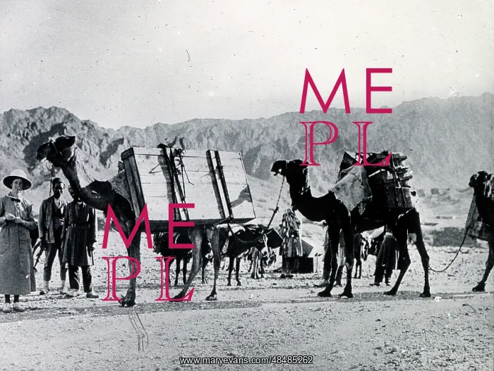 : Colonials in Persia, transporting luggage by camel : Colonials in Persia, transporting luggage by camel
