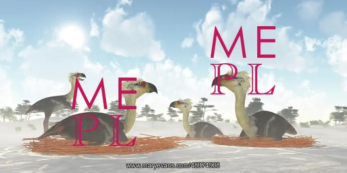 : A colony of nesting female Phorusrhacos during the Miocene ? : A colony of nesting female Phorusrhacos during the Miocene ?