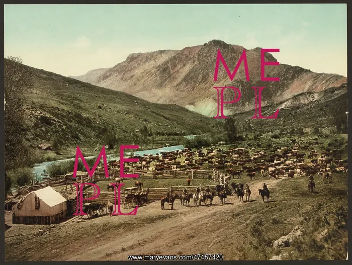 : Colorado. Round up on the Cimarron Colorado. Round up on the : Colorado. Round up on the Cimarron Colorado. Round up on the