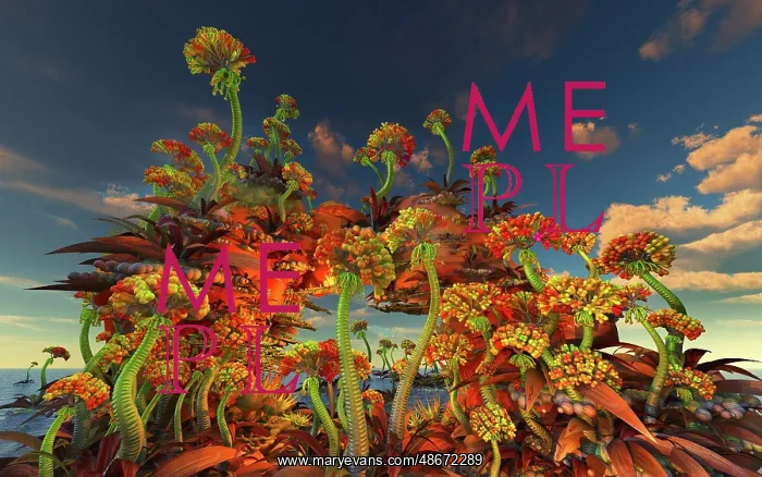 : A colorful display of flowers on the surface of : A colorful display of flowers on the surface of