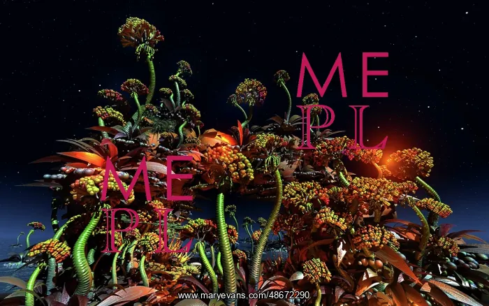 : A colorful display of flowers on the surface of : A colorful display of flowers on the surface of