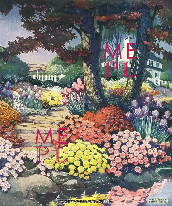  : Colorful Garden