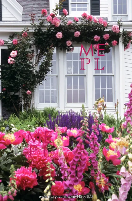 : Colorful garden in front of white house : Colorful garden in front of white house