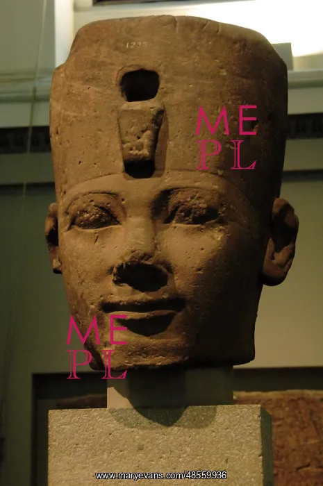 : Colossal head problably from Thutmose I. Egypt : Colossal head problably from Thutmose I. Egypt